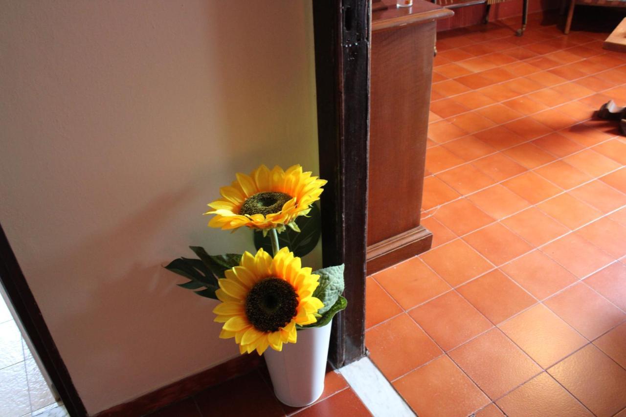 Casa Vacanze Da Mari Poggio  ภายนอก รูปภาพ
